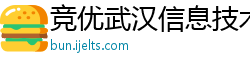 竞优武汉信息技术有限公司